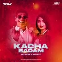 Kacha Badam Remix Mp3 Song - Dj Ron K